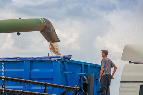 Control of the threshing process and loading of grain from the combine into the vehicle. Work in agriculture