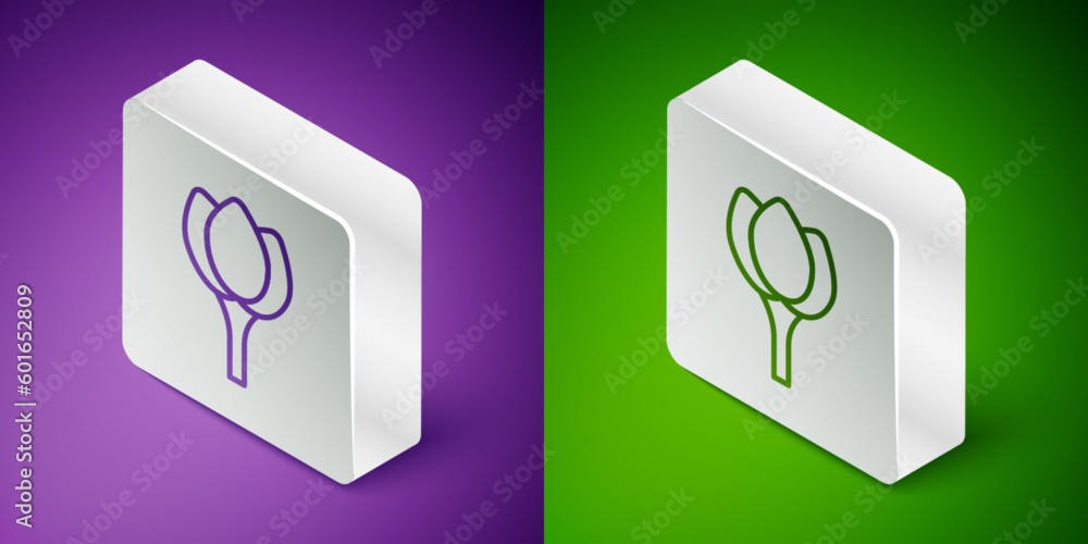Isometric line Flower tulip icon isolated on purple and green background. Silver square button. Vector Isometric line Flower tulip icon isolated on purple and green background. Silver square button. Vector