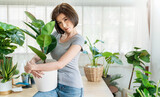 Portrait asian beautiful woman hands holding green leaf plant pot. Hispanic girl gray t-shirt gardening at home. Go green environment, hobby or leisure time during stay home, sustain ecology concept