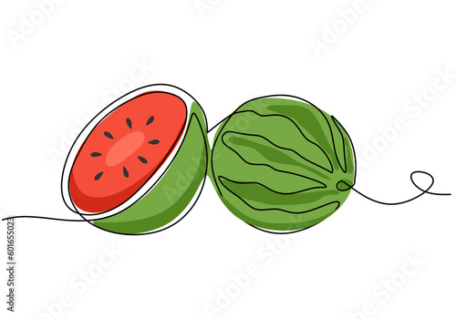 Watermelon continuous one line drawing, fruit vector illustration.