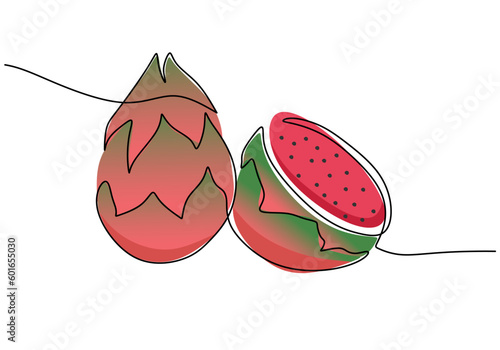 Dragon fruit continuous one line drawing, fruit vector illustration.