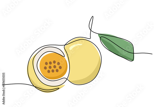 Passion fruit continuous one line drawing, fruit vector illustration.