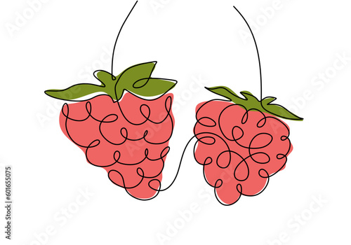 Raspberry continuous one line drawing, fruit vector illustration.