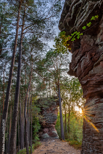 Sunset behind Red Rock in Rockland of Dahn, Rhineland-Palatinate, Germany, Europe