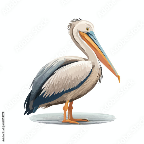 vector cute pelican cartoon style