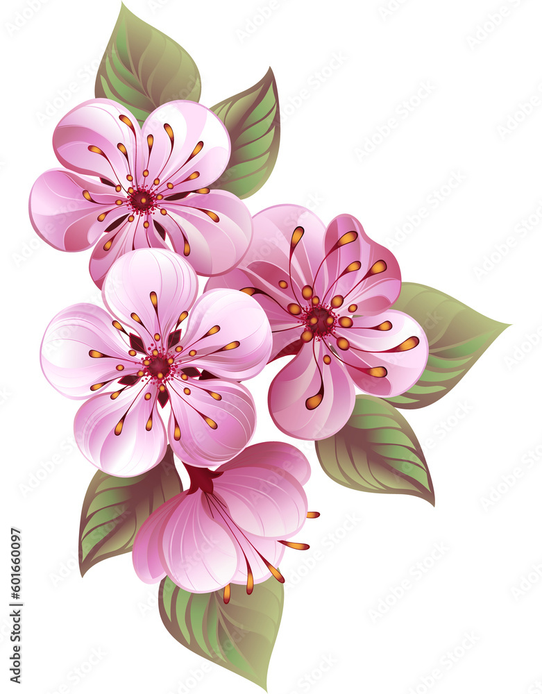 Fototapeta premium sakura pink flowers
