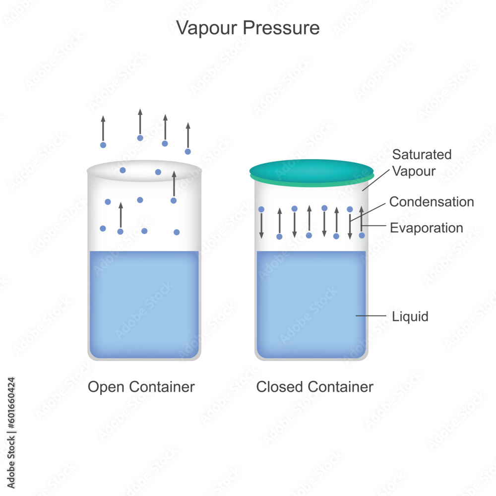 Chemical illustration.Vapour pressure. It is the pressure exerted by
