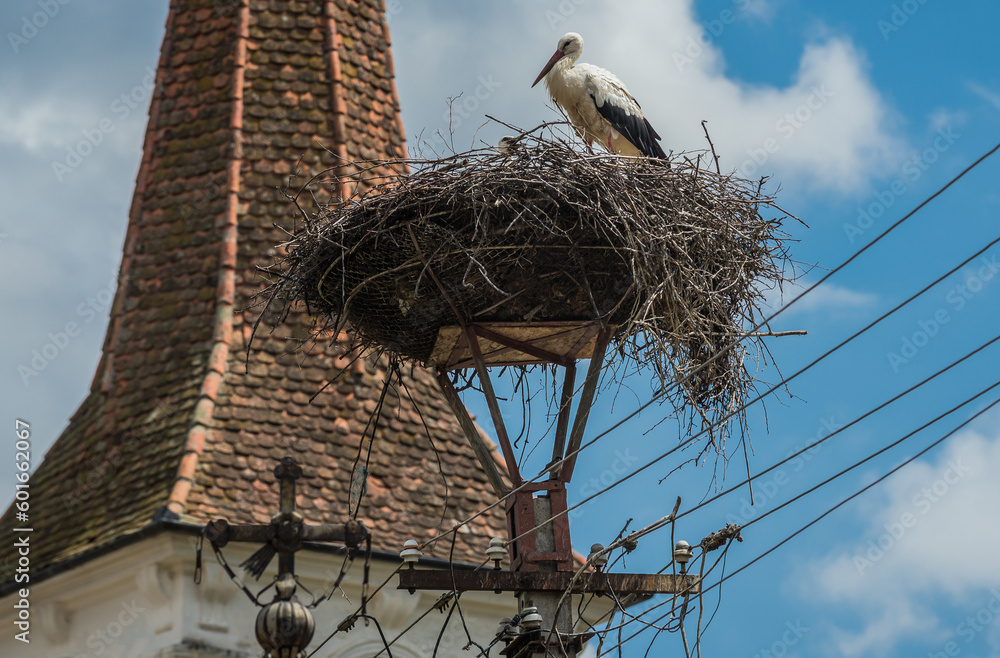 Stork nest in front of Church of Holy Trinity in Sibiel, Transylvania region in Romania