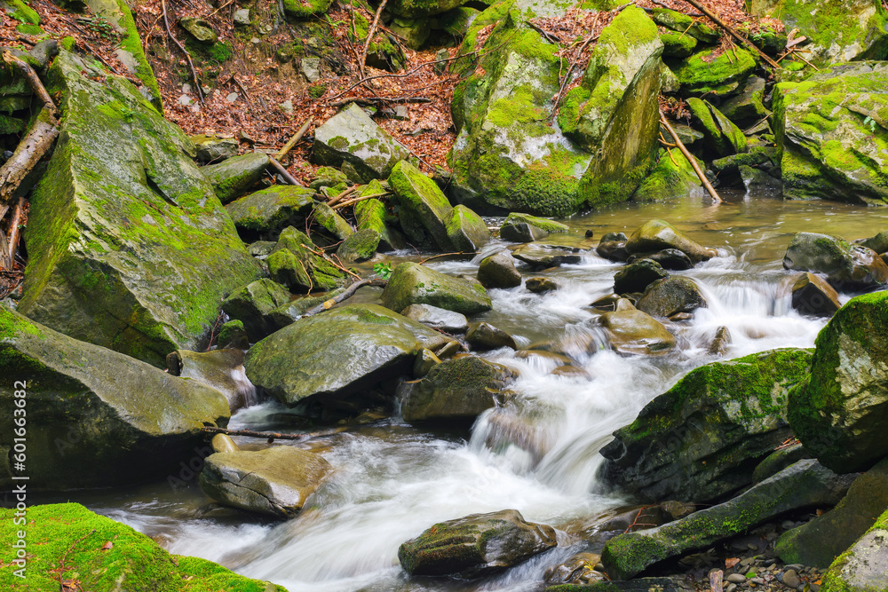 moss covered stones in the brook. nature landscape in the woods; river moss covered stones in the brook. nature landscape in the woods; river