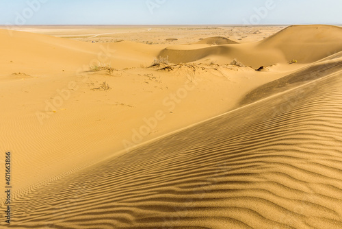 Sand dunes in Maranjab Desert in Iran