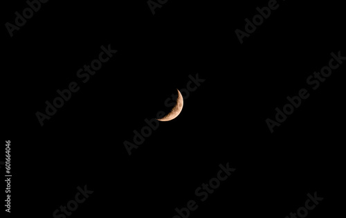 moon in the sky