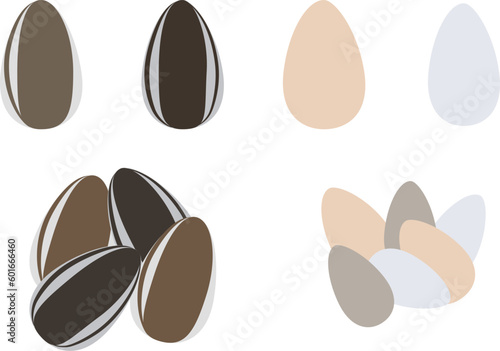 色々なひまわりの種