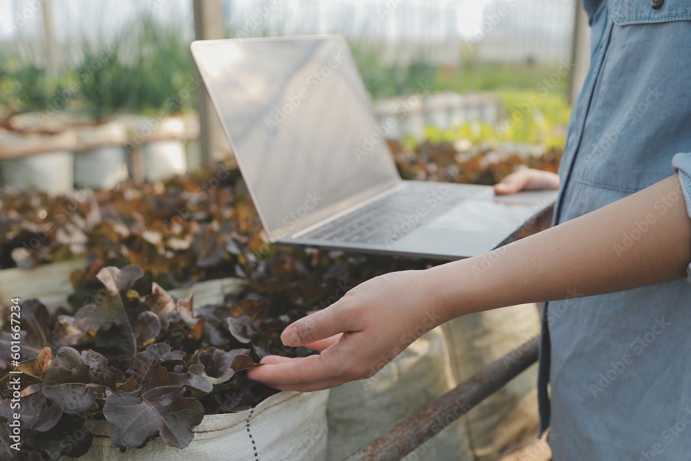 Asian woman farmer using digital tablet in vegetable garden at greenhouse, Business agriculture technology concept, quality smart farmer. Asian woman farmer using digital tablet in vegetable garden at greenhouse, Business agriculture technology concept, quality smart farmer.