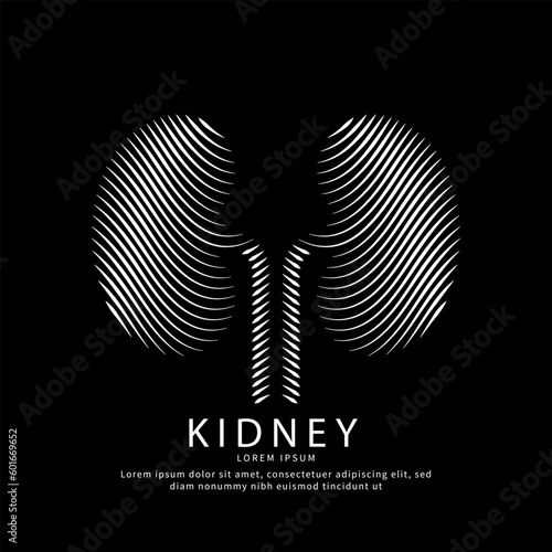Human kidney medical structure. Simple line art Kidney Urology Care logo designs vector template on a dark background. EPS 10