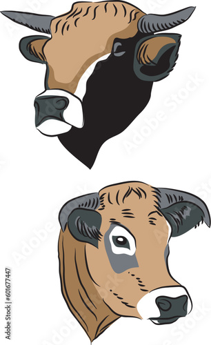 Aubrac cattle - vector illustration