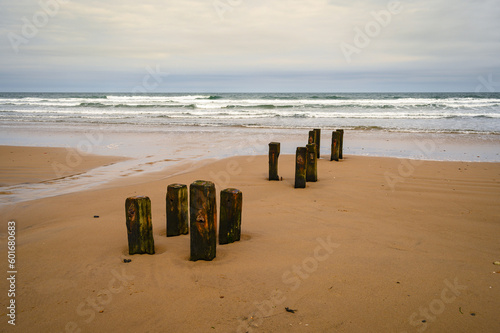 Old Wooden Posts on Cambois Beach, which is located between the rivers Blyth and Wansbeck on the Northumberland coast and is a long stretch of sand backed by rocks and grassy dunes photo