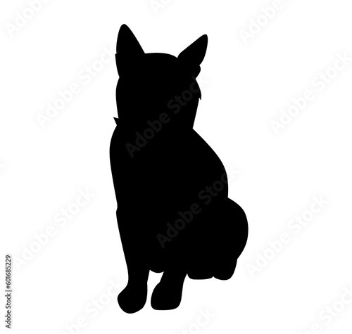 Fototapeta Naklejka Na Ścianę i Meble -  black cat sitting silhouette