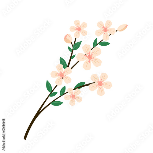 Blooming tree branch spring vector illustration. Green leaves and pink flowers blossom twig seasonal flat style drawing Isolated