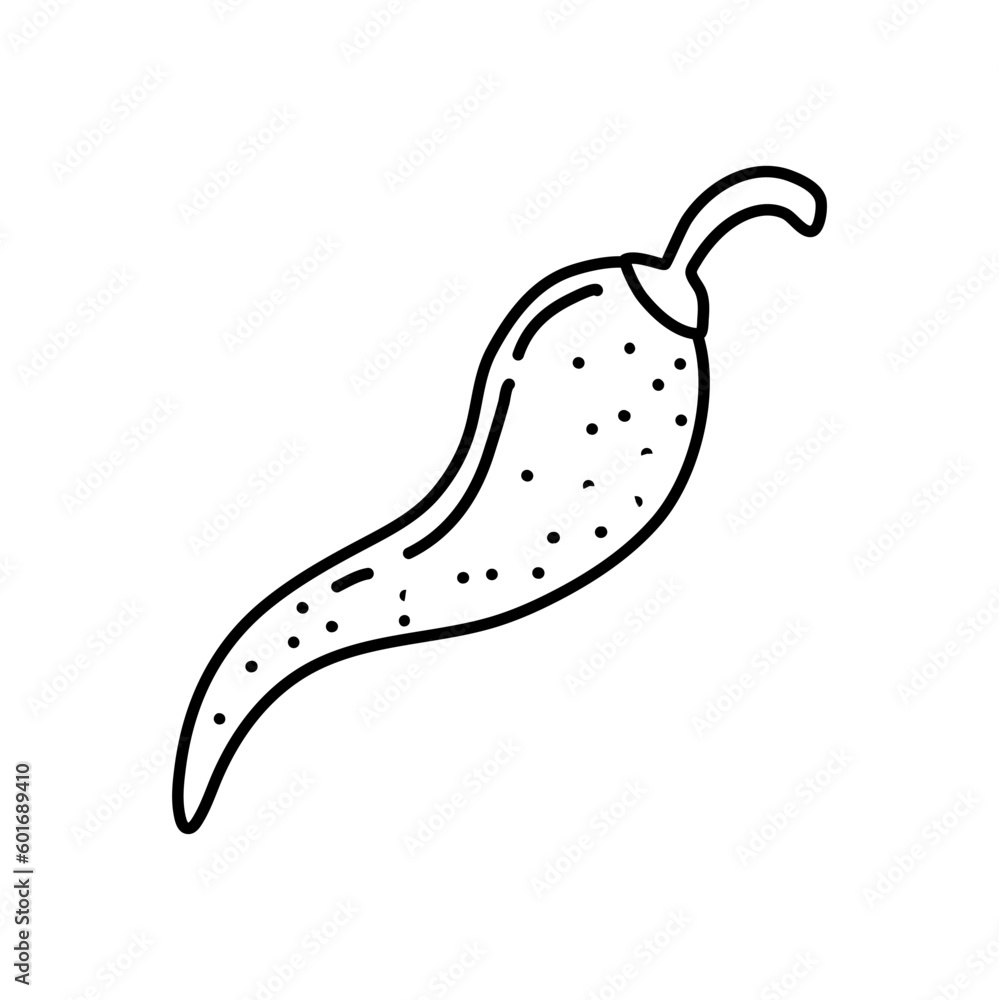 Chili pepper hand drawn outline doodle icon. Vector sketch illustration of chili pepper for print, web, mobile and infographics isolated on white background. Chili pepper hand drawn outline doodle icon. Vector sketch illustration of chili pepper for print, web, mobile and infographics isolated on white background.