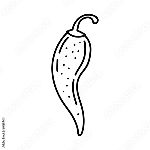 Chili pepper hand drawn outline doodle icon. Vector sketch illustration of chili pepper for print, web, mobile and infographics isolated on white background.