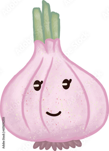 set of pink and purple garlic