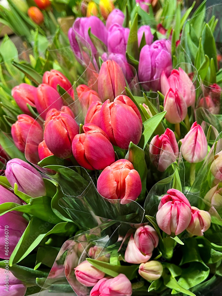 Beautiful colorful tulips background .Spring flowers background Beautiful colorful tulips background .Spring flowers background