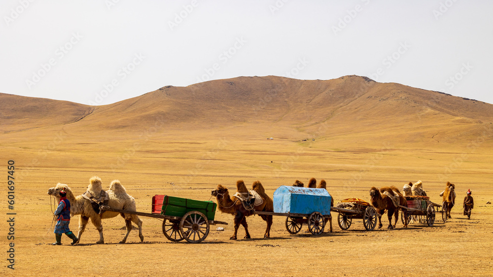 Mongolia / nomad / caravan / camel