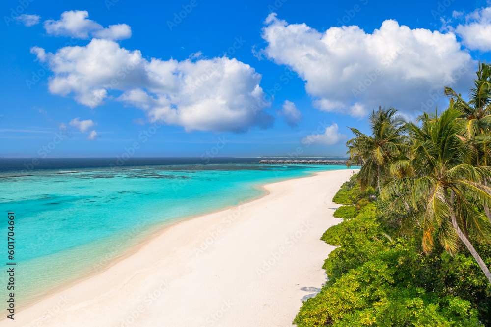 Best dream vacation pristine sandy shore with coconut palm trees, calm blue turquoise sea, sunny sky and tropical coastline. Aerial travel landscape. Exotic coast in Maldives islands, colorful nature