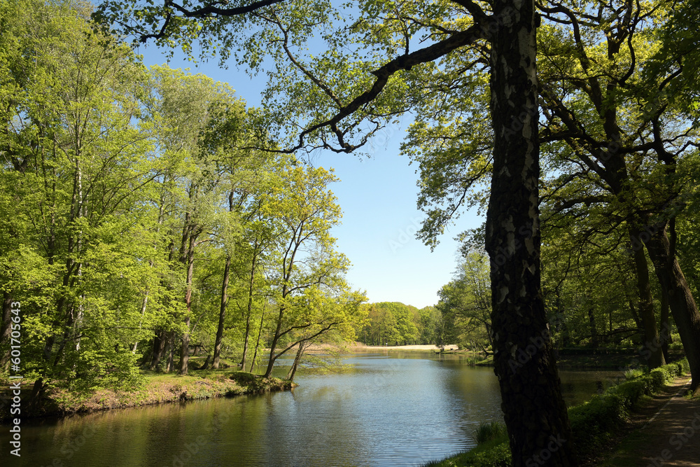 Obraz premium volkspark jungfernheide