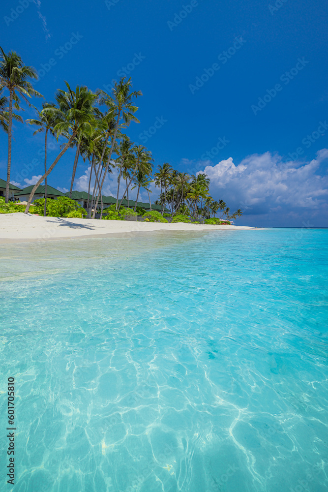 Maldives island beach. Tropical landscape of summer scenery, white sand with palm trees. Luxury travel vacation destination. Exotic beach landscape. Amazing nature, relax, freedom nature resort coast
