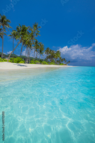 Maldives island beach. Tropical landscape of summer scenery, white sand with palm trees. Luxury travel vacation destination. Exotic beach landscape. Amazing nature, relax, freedom nature resort coast 