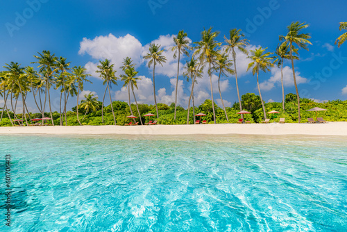 Maldives island beach. Tropical landscape of summer scenery  white sand with palm trees. Luxury travel vacation destination. Exotic beach landscape. Amazing nature  relax  freedom nature resort coast 
