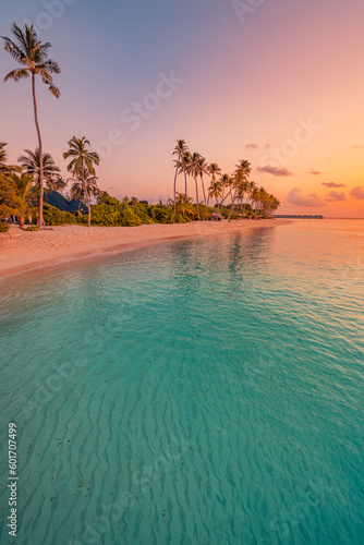 Fototapeta Naklejka Na Ścianę i Meble -  Amazing travel landscape. Beautiful panoramic sunset tropical paradise beach. Tranquil summer vacation or holiday. Tropical sunset beach seaside palm calm peace panorama exotic nature colorful sea sky