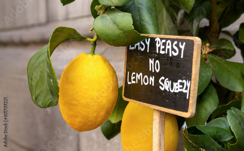 Easy peasy no lemon squeezy. Sign with an inscription near a lemon tree with leaves photo