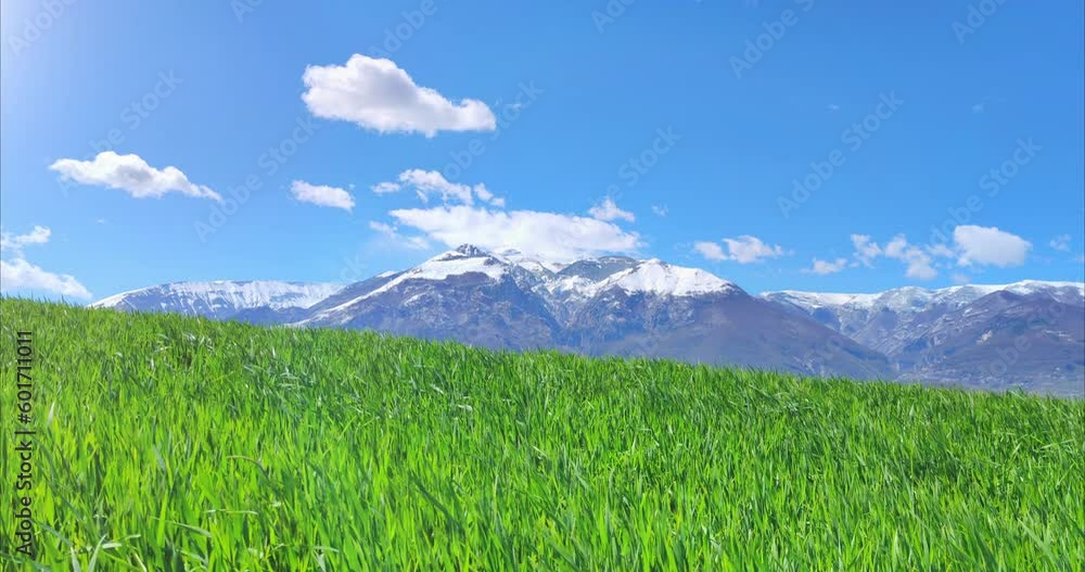 Gran Sasso Italian mountain with a peak covered in snow, a green unripe wheat field blowing in the wind under a cloudy sky. Gran Sasso Italian mountain with a peak covered in snow, a green unripe wheat field blowing in the wind under a cloudy sky.