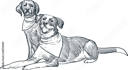 Vintage hand drawn sketch sit smile two dogs wear scarf bandana