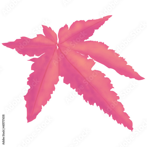 Digital painting of a sycamore leaves, vector