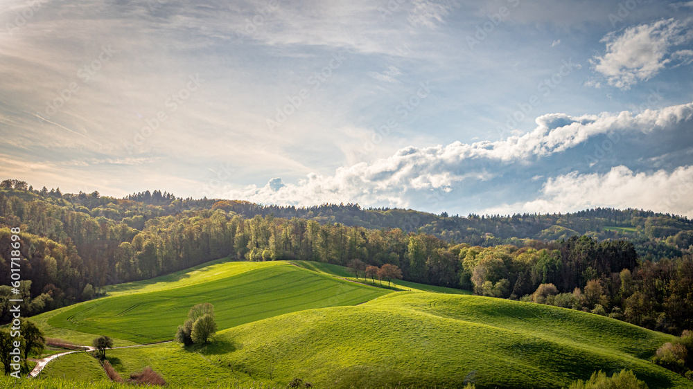 Fototapeta premium Landschaft