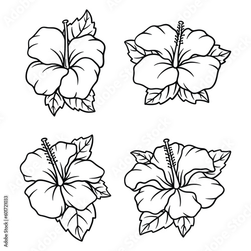 Set of hibiscus hand drawn vector