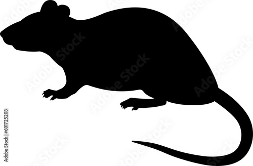 Black silhouette Rat (Rattus norvegicus)