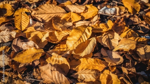 Fallen leaves texture background. Yellow brown orange dry leaves on the ground. Autumn leaves in the forest on a sunny day. Generative AI.