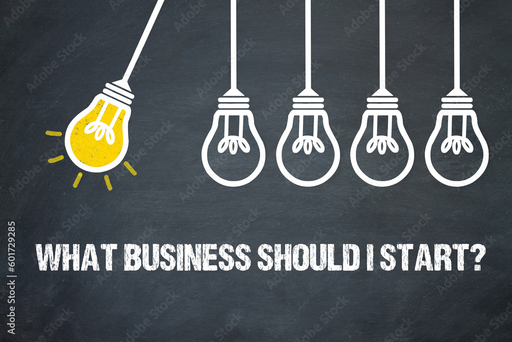 Fototapeta premium What Business Should I Start? 