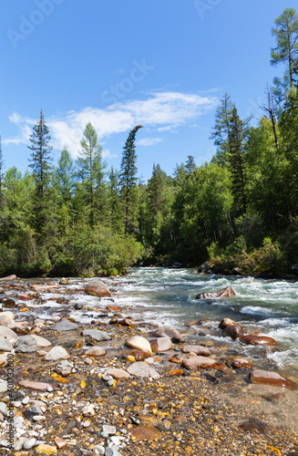 Beautiful summer landscape with fast river with stone watercourse, clear blue water and green forest along banks on sunny day. Ehe-Ukhgun River, Nilovka, Tunka foothill valley, Buryatia photo