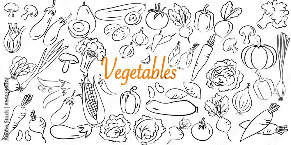 Hand drawn set of vegetables doodles. Vector illustration on white background.