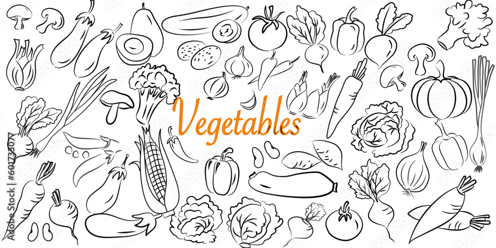 Hand drawn set of vegetables doodles. Vector illustration on white background. Hand drawn set of vegetables doodles. Vector illustration on white background.