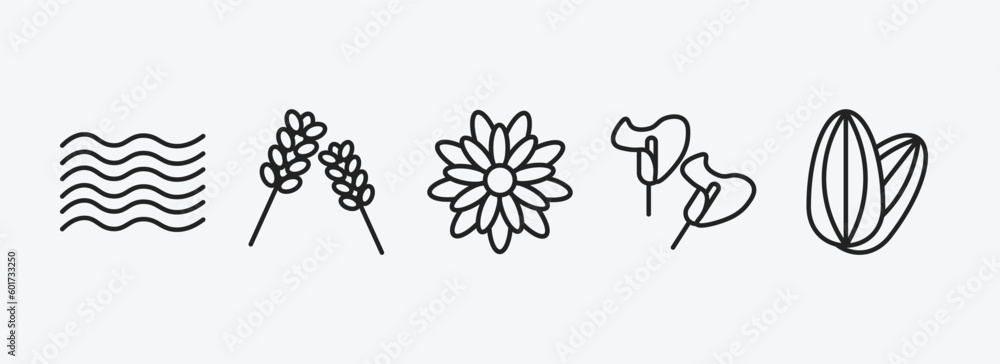 nature outline icons set. nature icons such as waves, lavender, gerbera, calla, almond vector. can be used web and mobile. nature outline icons set. nature icons such as waves, lavender, gerbera, calla, almond vector. can be used web and mobile.