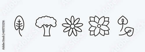 nature outline icons set. nature icons such as spear shaped, beech, daisy, zinnia, anthurium vector. can be used web and mobile.