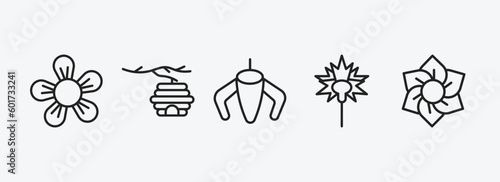 nature outline icons set. nature icons such as jasmine, hive, ylang-ylang, carnation, daffodil vector. can be used web and mobile.