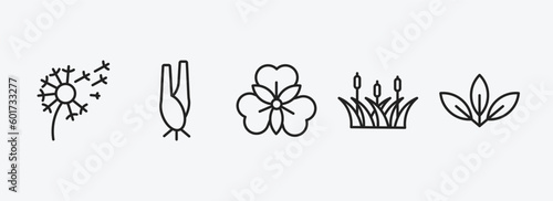 nature outline icons set. nature icons such as dandelion, lemongrass, alstroemeria, reed, acicular vector. can be used web and mobile.