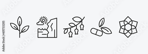 nature outline icons set. nature icons such as green tea, cliff, hawthorn, natural medical pills, clematis vector. can be used web and mobile.